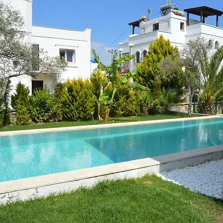 Neon Tuerkbuekue Villas Rezort Bodrum